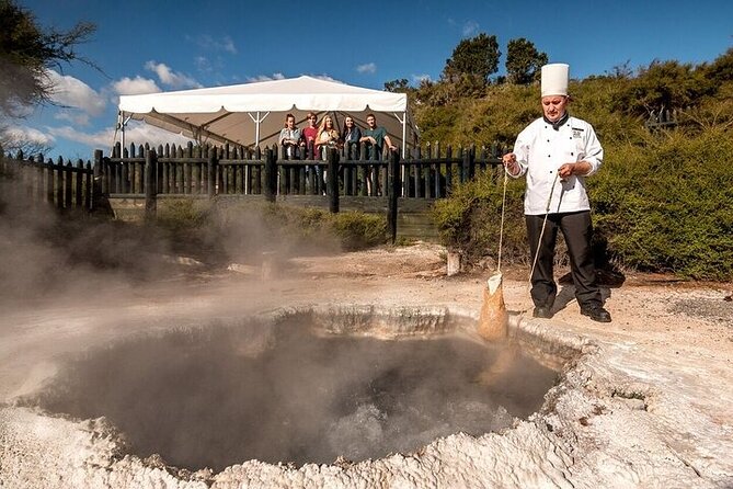 Te Puia Geothermal Valley - Rotorua - The kiwi enclosure is a rare bonus