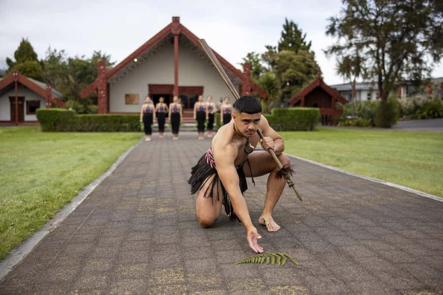 Te Puia: Te Pō Indigenous Combo - Tour, Dinner + Haka - Who Will Enjoy This Evening Most?