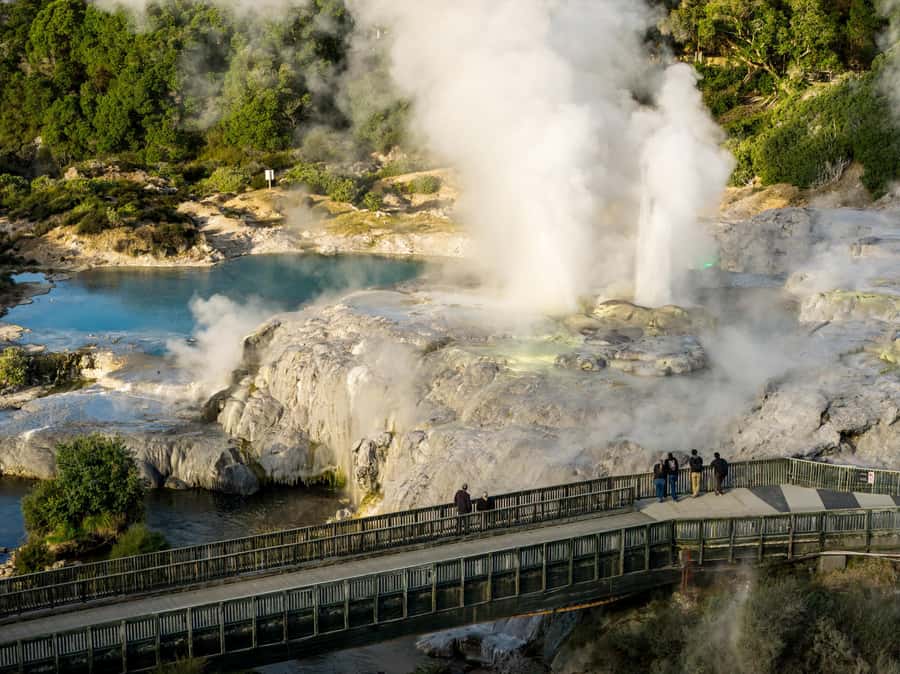 Te Puia: Te Rā Guided Day Tour - Key points to know before you go