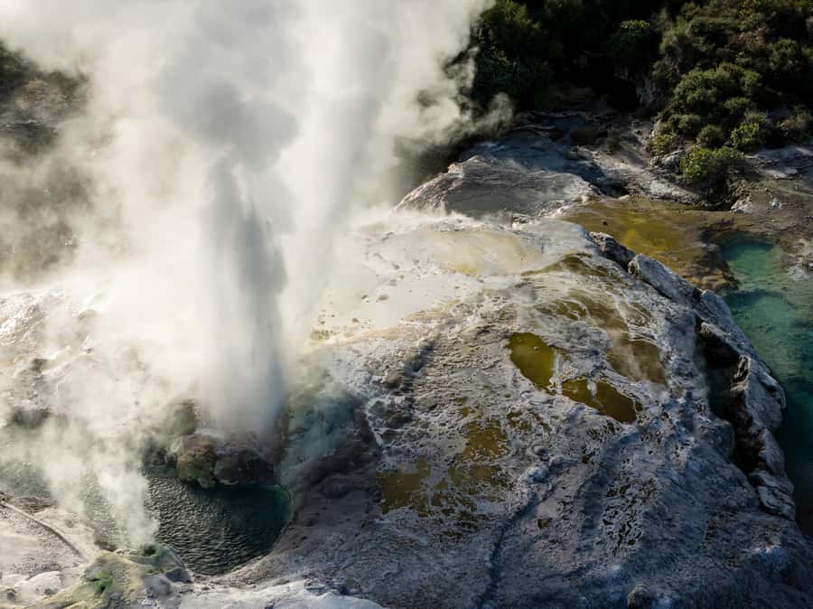 Te Puia: Te Rā Guided Day Tour - What $59 buys you