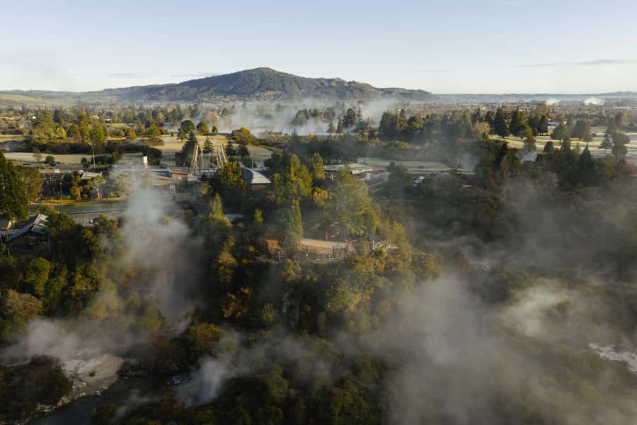 Te Puia: Te Rā Guided Day Tour - Who should book Te Rā Guided Day Tour?