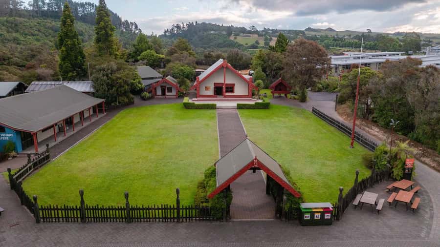 Te Puia: Te Rā Guided Day Tour + Haka Cultural Performance - Starting at 20 Hemo Road in Rotorua