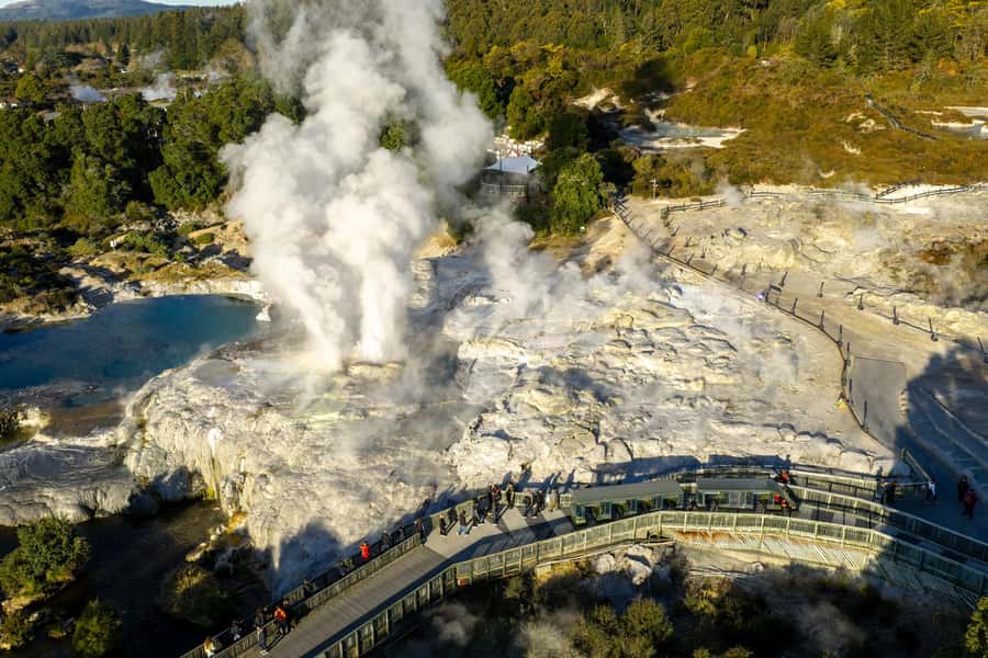 Te Puia: Te Rā Guided Day Tour + Haka Cultural Performance - Who will enjoy Te Puia most?