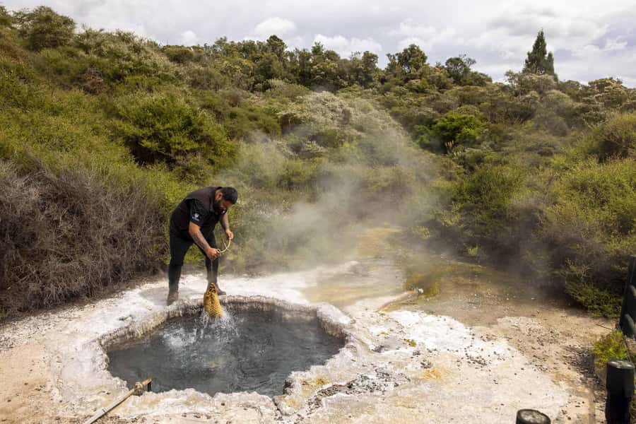 Te Puia: Tuku Iho Trail with Cultural Show - Starting at 20 Hemo Road in Rotorua
