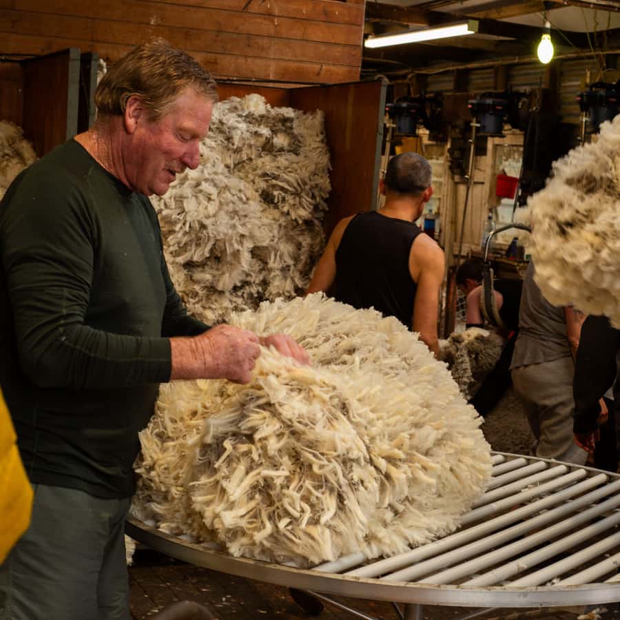 Tekapo: Merino Sheep Shearing and Sheepdog Demonstration - Key points at a glance