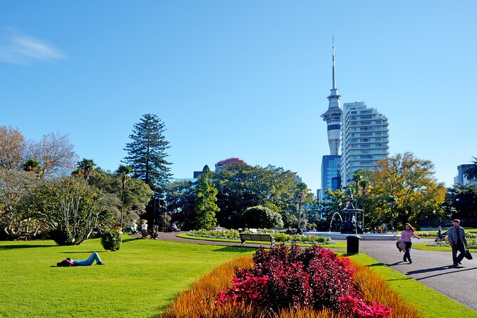 The best of Auckland private walking tour - What this private Auckland walk is really designed to do