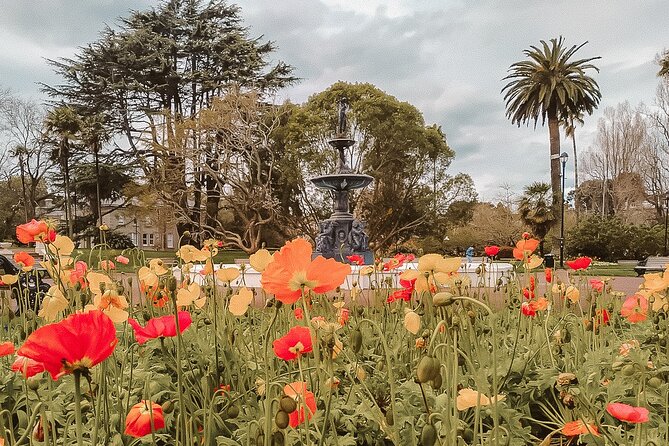 The best of Auckland private walking tour - Is $406.66 per person good value?