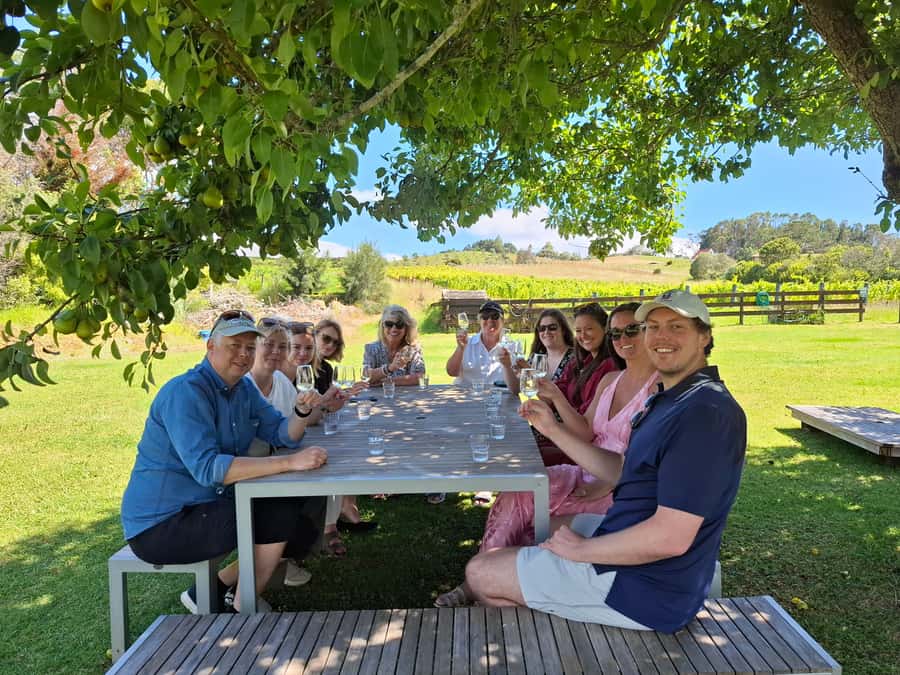 The Boutique Experience: Waiheke Island Best Cellar Tour - Why Waiheke works so well for a wine day