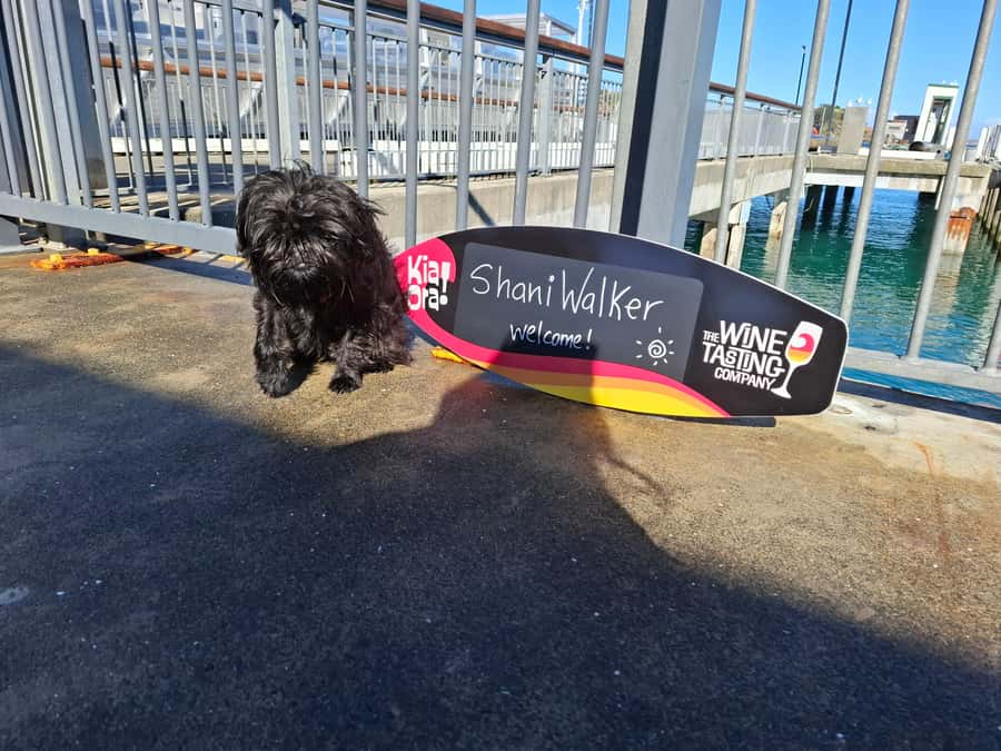 The Boutique Experience: Waiheke Island Best Cellar Tour - Getting started from Auckland’s downtown ferry terminal