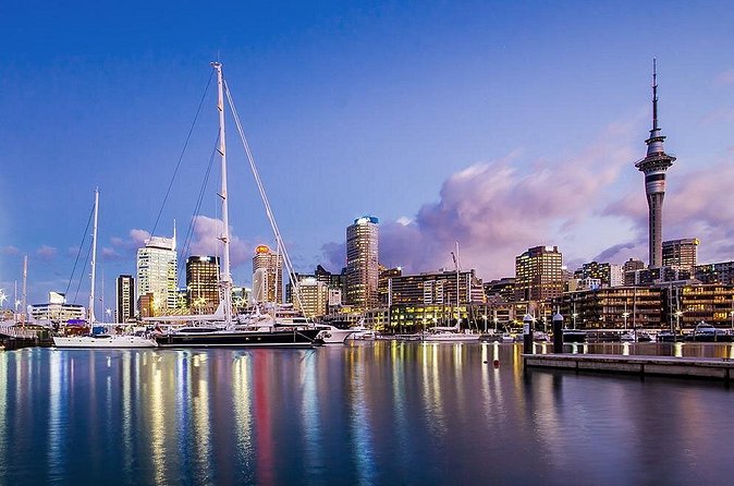 The City Lights: a unique electric bike tour of Auckland by night! - Queens Wharf and the Viaduct waterfront