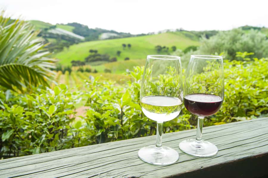 The Epic Waiheke Sundowner, Food And Wine Trip - Key things to know before you book