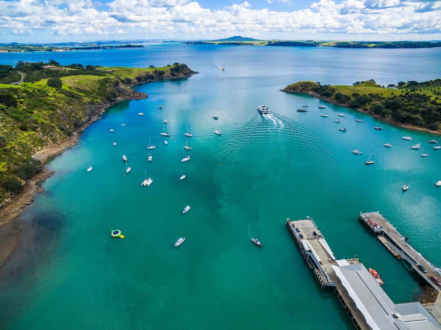 The Epic Waiheke Sundowner, Food And Wine Trip - Why late light changes the Waiheke experience