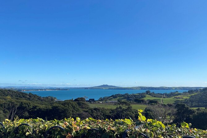 The Essence of Waiheke Wine Tour - Scenic roads, beaches, and the value of a local guide