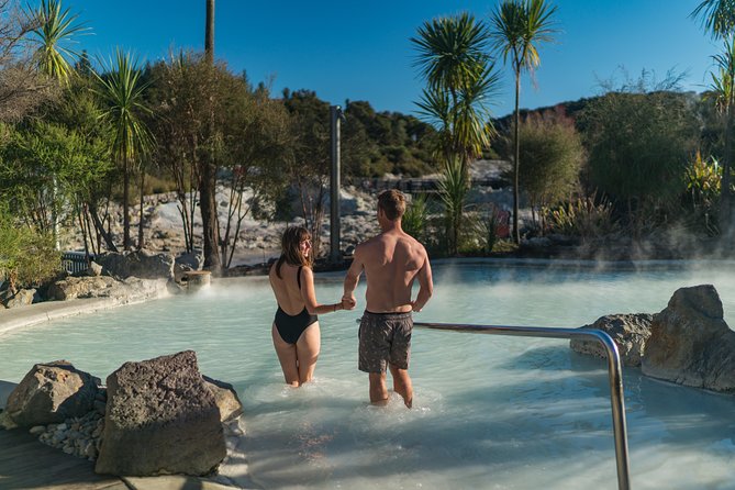 The Hell's Gate Experience - Why Hell’s Gate works as a Rotorua half-day
