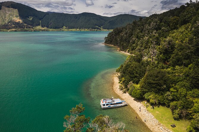 The Hobbit Barrel Run Rafting Tour on the Pelorus River - Paddling the Pelorus River with a guide