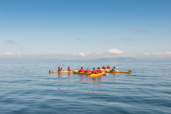 The Maori Carvings Half Day Kayak - From Spa Road to Jerusalem Bay