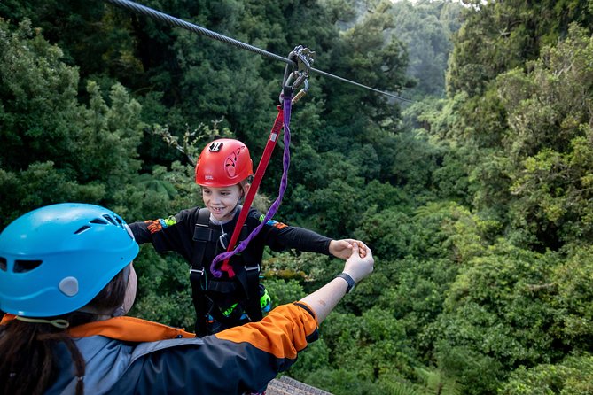 The Original Canopy Zipline Experience Private Tour From Auckland - Key Things To Know Before You Book