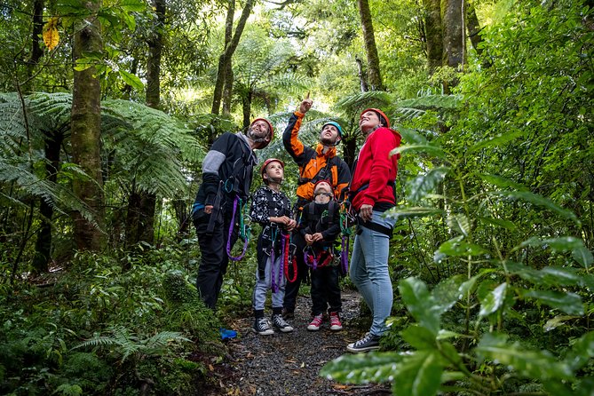 The Original Canopy Zipline Experience Private Tour From Auckland - Why This Auckland To Rotorua Trip Takes All Day