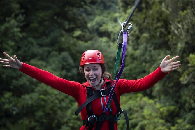 The Original Canopy Zipline Experience Private Tour From Auckland - What The Physical Requirements Really Mean