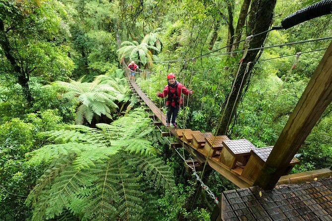 The Original Canopy Zipline Experience Private Tour From Auckland - The Private Vehicle Makes A Difference