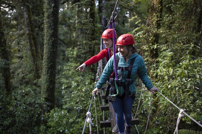 The Original Canopy Zipline Experience Private Tour From Auckland - Weather, Safety, And Comfort