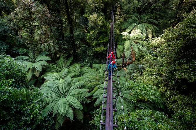 The Original Canopy Zipline Experience Private Tour From Auckland - Reaching The Rotorua Canopy Course