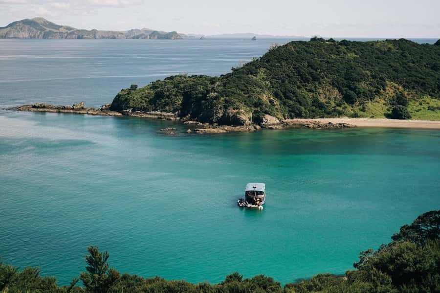 The Rock Adventure Day Cruise - Snorkeling, stingrays, and the chance to gather seafood