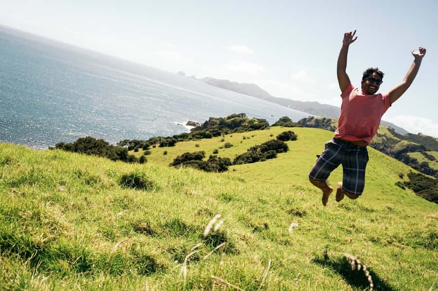 The Rock Adventure Day Cruise - Island walks, Maori fortifications, and wartime remains