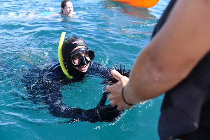 The Rock Adventure Overnight Cruise - A full day and night in the Bay of Islands