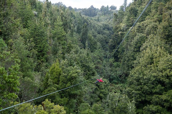 The Ultimate Canopy Zipline Experience Private Tour From Auckland - Bombay Hills and the road south