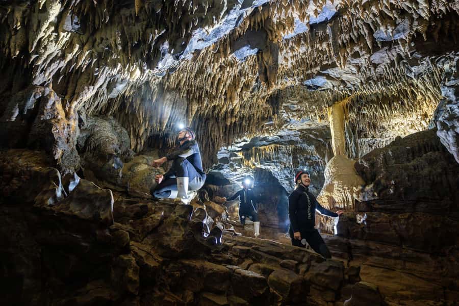 The Waitomo Experience : Okohua Glowworm Cave Tour - From Tumu Tumu Station to the cave entrance