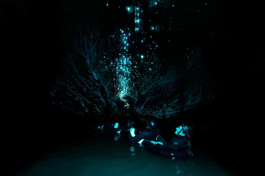 The Waitomo Experience : Okohua Glowworm Cave Tour - Floating beneath thousands of glowworms