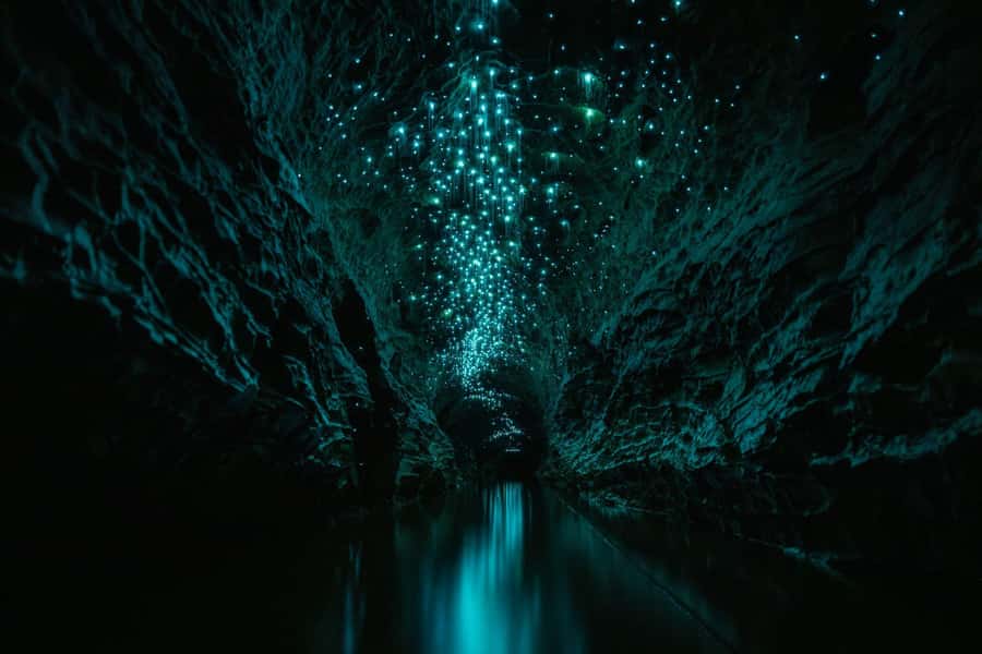 The Waitomo Experience : Okohua Glowworm Cave Tour - Climbing, swimming, and choosing your challenge