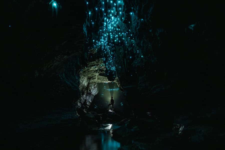 The Waitomo Experience : Okohua Glowworm Cave Tour - Practical planning for your Waitomo day