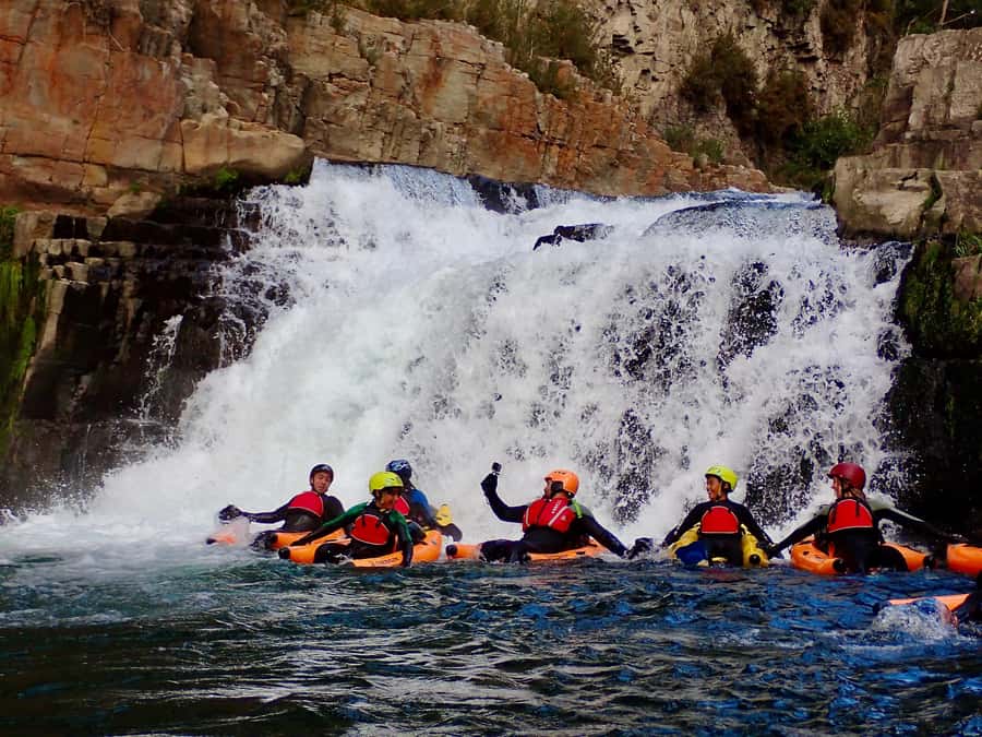 Thrilling Riverbug Adventure on the Rangitāiki River - Key points about the Rangitāiki riverbug trip