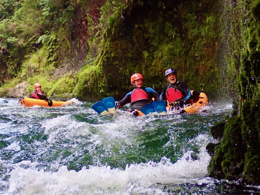Thrilling Riverbug Adventure on the Rangitāiki River - Why this part of the Eastern Bay of Plenty matters