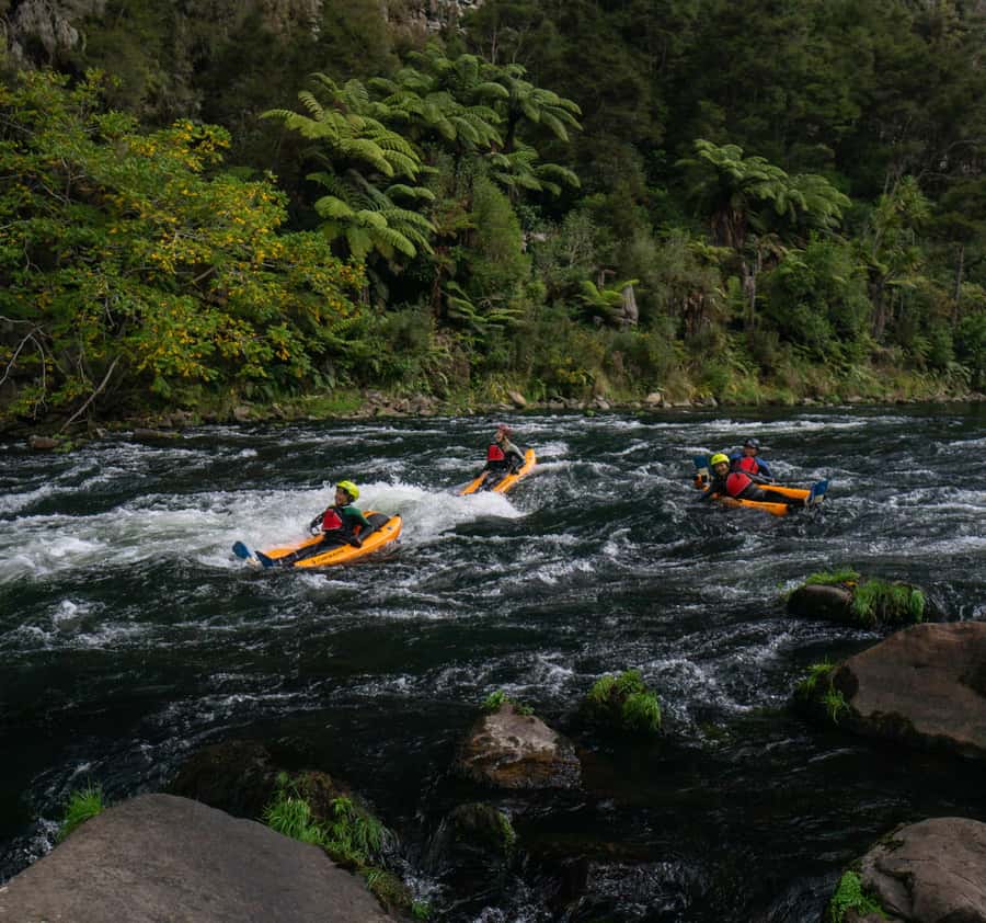 Thrilling Riverbug Adventure on the Rangitāiki River - Meeting the black Riverbug.NZ van