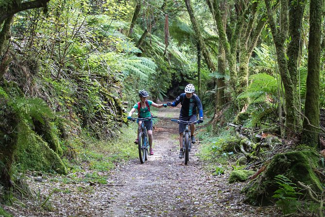 Timber Trail - Ongarue to Pureora Shuttle 2 Day Ride - Why this shuttle makes the Timber Trail easier