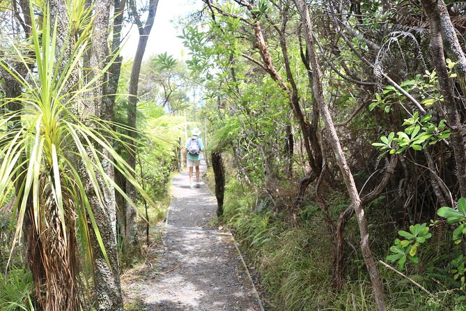 Tiritiri Matangi Island Discovery - from Auckland - Key points to know before you go