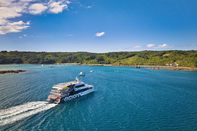 Tiritiri Matangi Island Discovery - from Auckland - Five hours among native birds and bush
