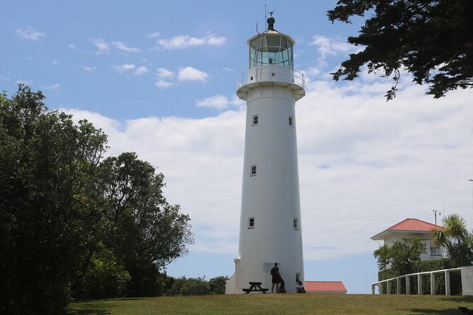Tiritiri Matangi Island Discovery - from Auckland - The lighthouse, cliff tops, and Hobbs Beach