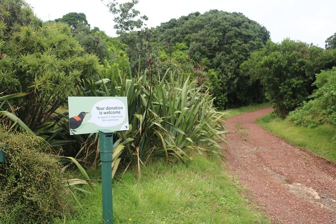 Tiritiri Matangi Island Discovery - from Auckland - What weather can change about the day