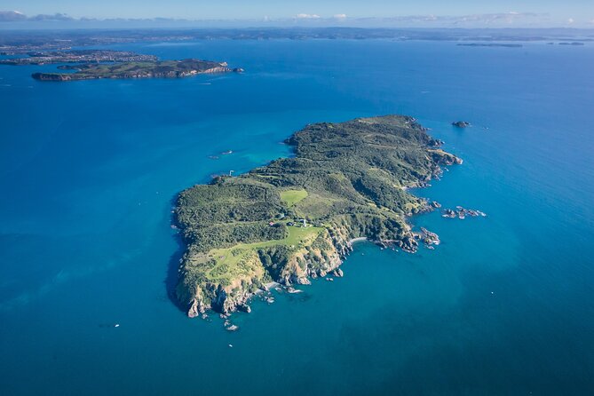Tiritiri Matangi Island Discovery - from Auckland - The ferry from Auckland Viaduct or Gulf Harbour