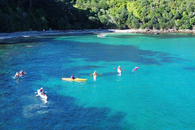 Tiritiri Matangi Sea Kayak Tour - Key points to know before booking