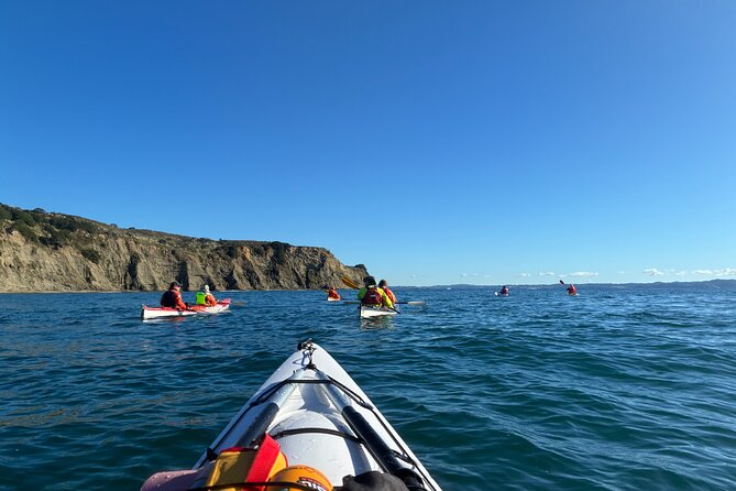 Tiritiri Matangi Sea Kayak Tour - Why paddle to Tiritiri Matangi from Army Bay?