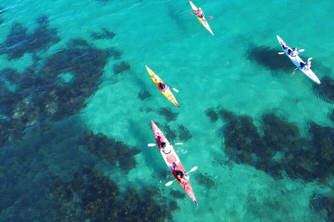 Tiritiri Matangi Sea Kayak Tour - Two hours for birds, tracks, and the lighthouse