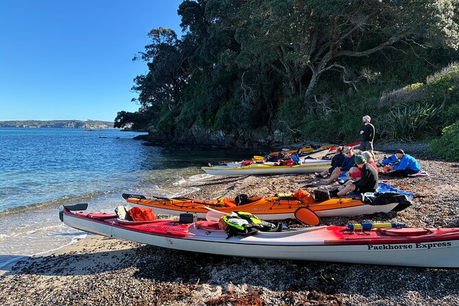Tiritiri Matangi Sea Kayak Tour - The first paddle follows Whangaparāoa’s cliffs