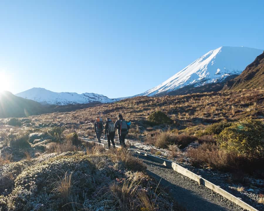 Tongariro Alpine Crossing: Premium Guided Hike - The essential points before you book