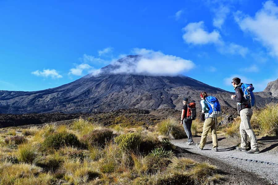 Tongariro Alpine Half Day Guided Group Walk - Key points to know before you go