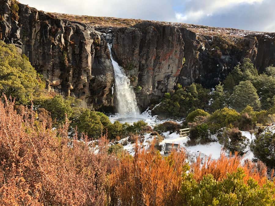 Tongariro National Park: Pre-Sunset Guided Walking Tour - Key points to know before you book
